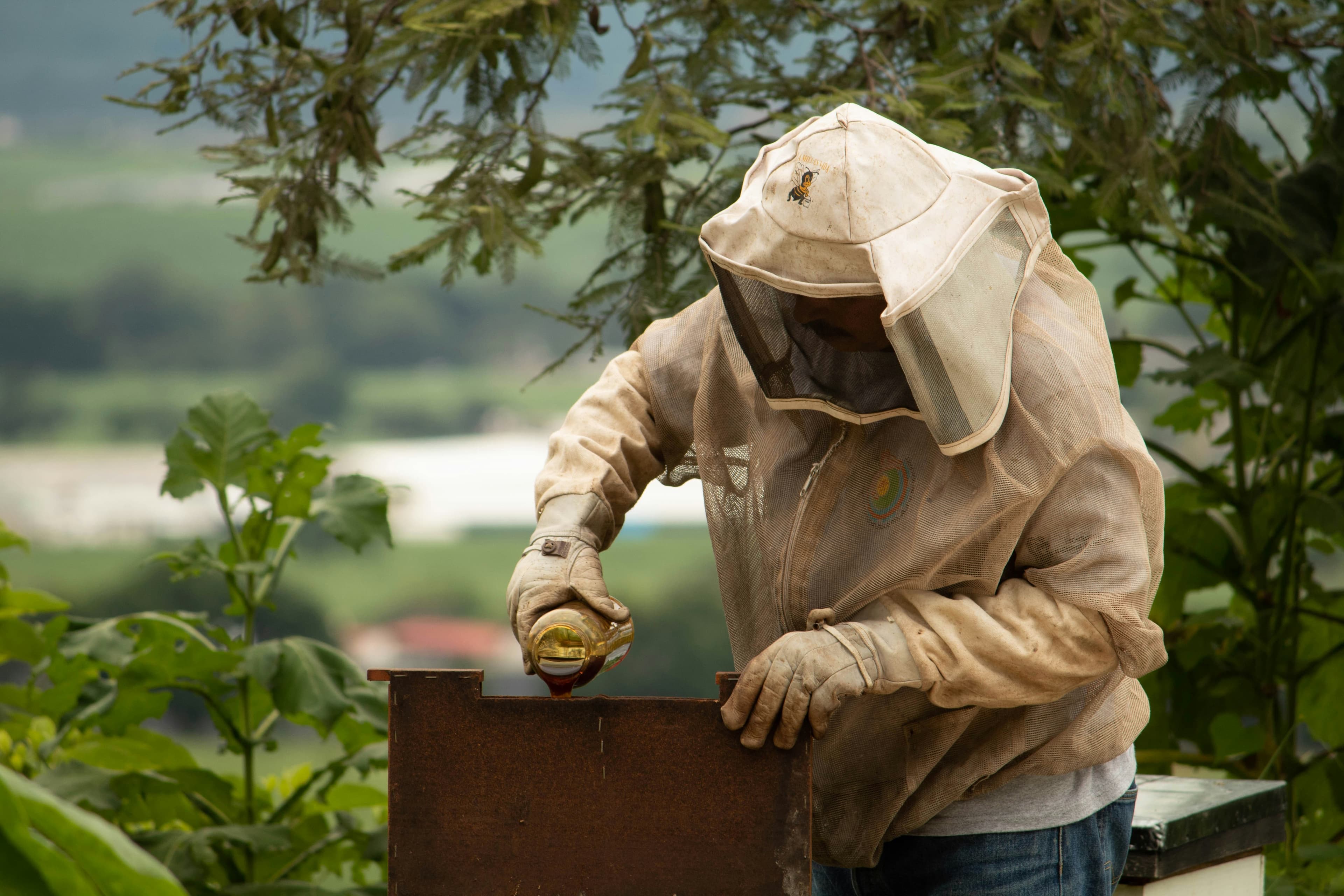 Professional pest control technician in action