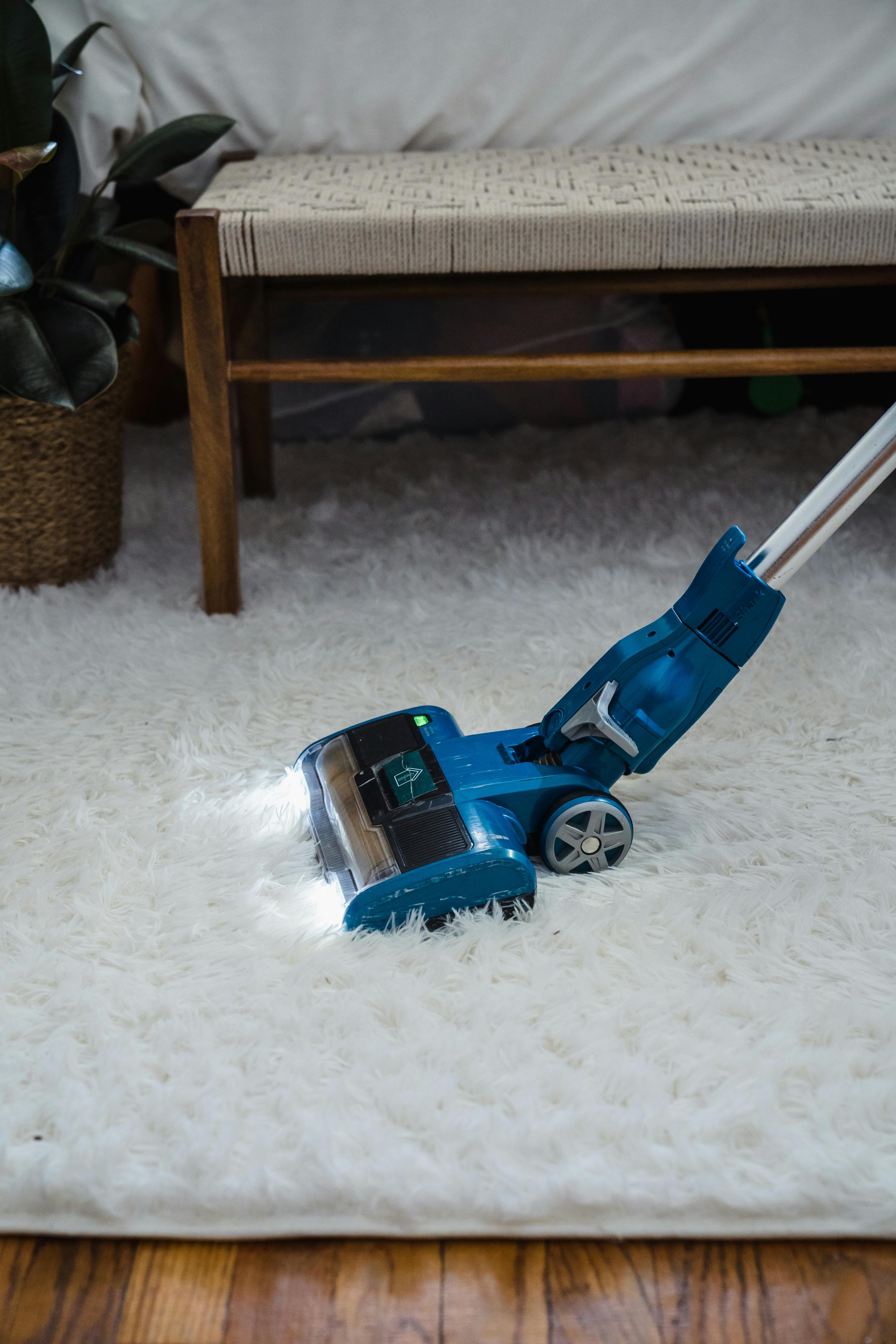 Professional pest control team working